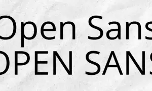 Dwie linie tekstu: "Open Sans" i "OPEN SANS". To popularna cyfrowa czcionka, znana ze swojej czytelności.
