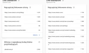 Dane z Google Search Console pokazują najczęściej linkowane strony zewnętrzne i wewnętrzne dla domeny senuto.com.