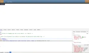 Kod HTML z narzędziami deweloperskimi. Widoczny jest element `div.pageMain` z `position fixed` w stylach.