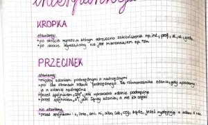 Zapisane zasady interpunkcji: kropka po skrótach, przecinek między zdaniami podrzędnymi i nadrzędnymi. Niewidzialny znak to przecinek przed spójnikami.