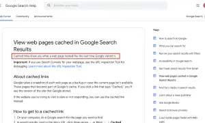 Zobacz, jak wyglądały strony w **google cache strony**. Pomocne, gdy strona nie działa.