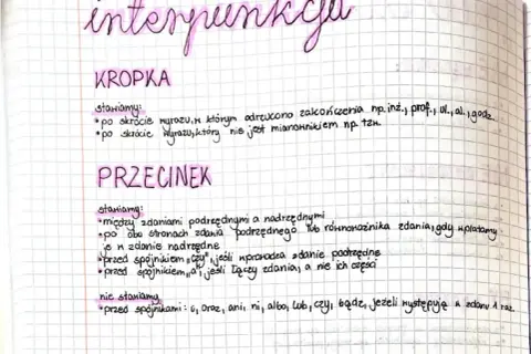 Zapisane zasady interpunkcji: kropka po skrótach, przecinek między zdaniami podrzędnymi i nadrzędnymi. Niewidzialny znak to przecinek przed spójnikami.