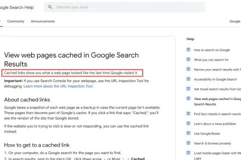 Zobacz, jak wyglądały strony w **google cache strony**. Pomocne, gdy strona nie działa.