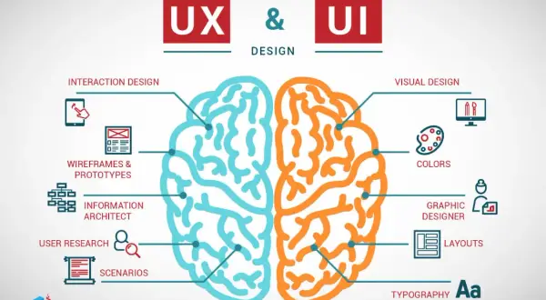 Ilustracja mózgu podzielonego na UX (niebieski) i UI (pomarańczowy), z elementami takimi jak interakcja, wireframy, user research, visual design, kolory i typografia. Testy UX są kluczowe.