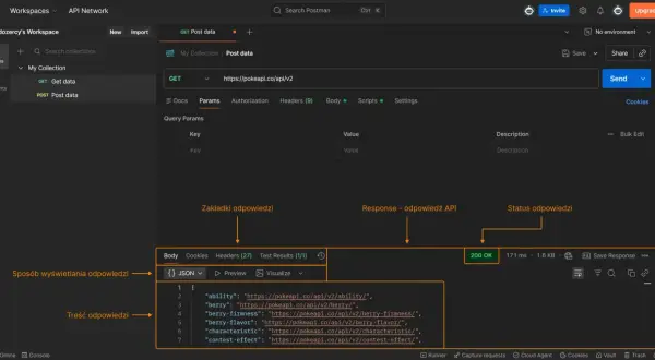 Postman API: widok interfejsu do testowania żądań HTTP, z widoczną odpowiedzią JSON i statusem 200 OK.