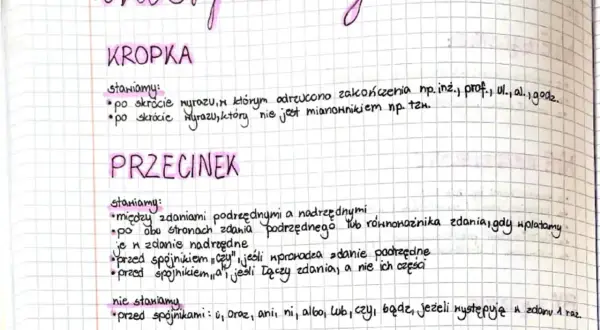 Zapisane zasady interpunkcji: kropka po skrótach, przecinek między zdaniami podrzędnymi i nadrzędnymi. Niewidzialny znak to przecinek przed spójnikami.