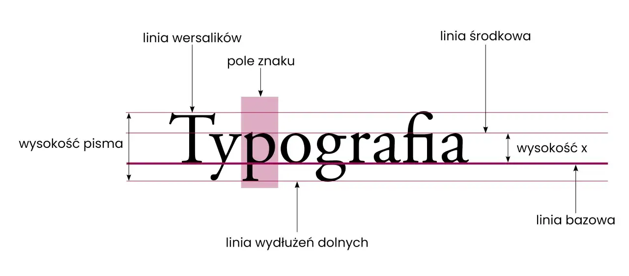 Diagram wyjaśnia, czym są wersaliki i inne elementy typograficzne, takie jak linia bazowa czy wysokość x.