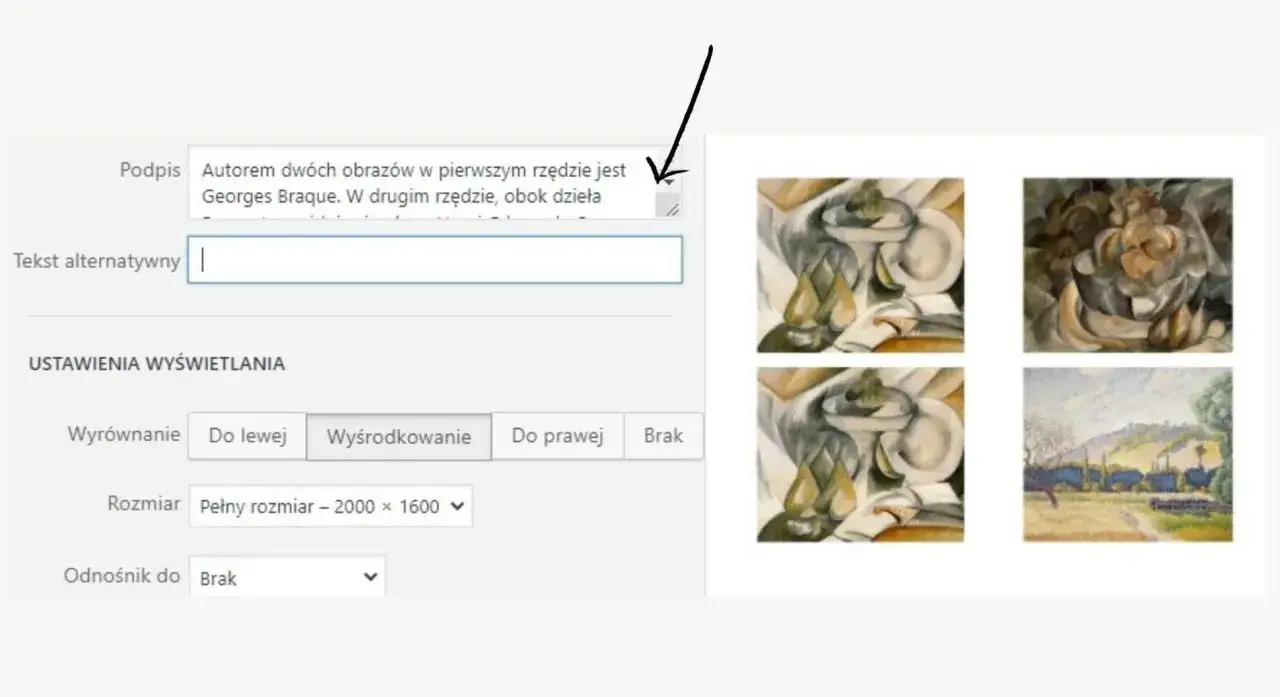 Fragment tekstu zaczynający się od nowego wiersza: