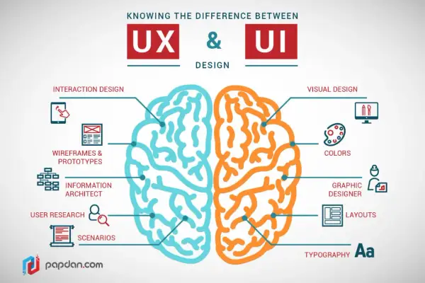 Ilustracja mózgu podzielonego na UX (niebieski) i UI (pomarańczowy), z elementami takimi jak interakcja, wireframy, user research, visual design, kolory i typografia. Testy UX są kluczowe.